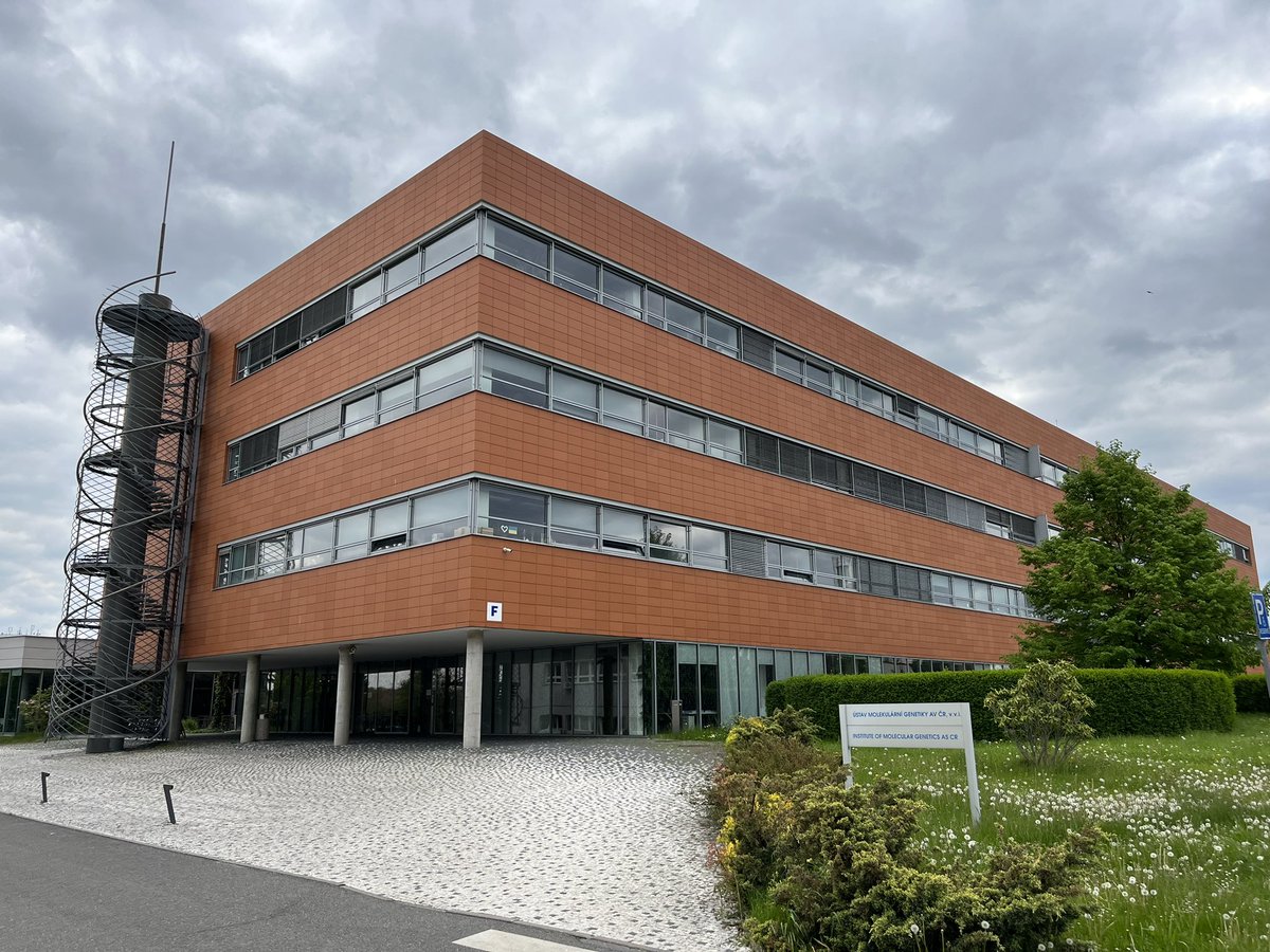 Much obliged for working last month at <a href="/imgprague/">Institute of Molecular Genetics</a> hosted by @AlberichJorda and her great team! A big thanks to <a href="/SladjanaKosano1/">Sladjana Kosanovic</a> as well for her constant help! Sure that this collaboration helped me to understand many aspects of #invivo studies. <a href="/enhpathy_H2020/">ENHPATHY</a>