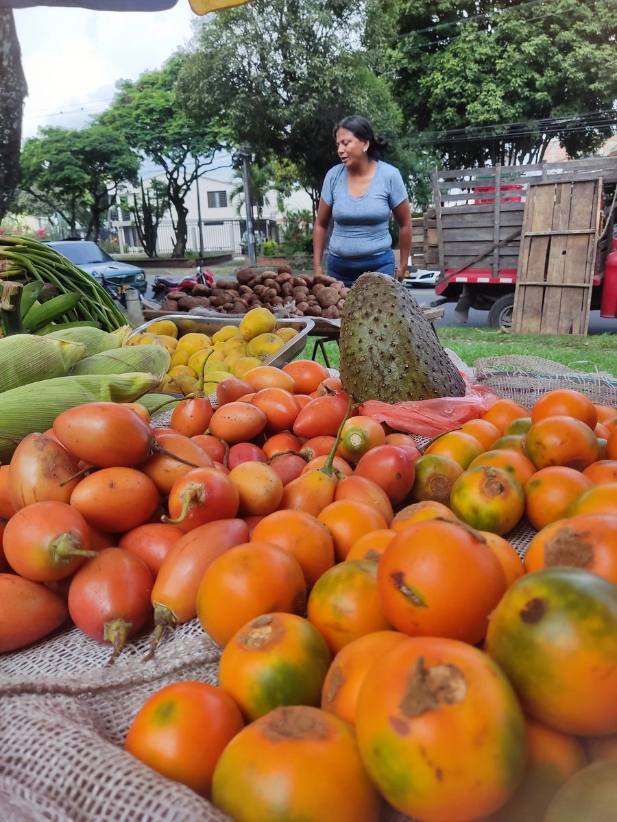 FIANColombia's tweet image. #CFSGender #WeExist #Existimos | 
Es fundamental el reconocimiento de la identidad campesina de las mujeres y niñas en toda su diversidad.  Ser campesina es una identidad y define una amplia masa de personas que tienen un rol central en el Derecho a la Alimentación
@petrogustavo