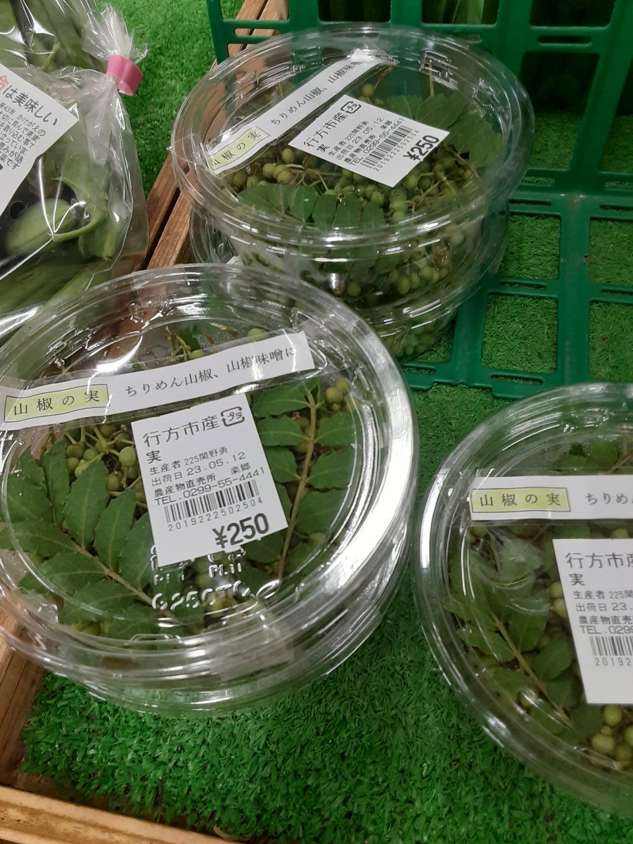 akito_0913's tweet photo. 行方市の楽郷(らっきょう)で山椒の実を発見🧐
炊き込みご飯にし��した✨

爽やかな風味で箸が進む～
ちょい大人な味ですが美味ですぞ！ https://t.co/wCS6LvXX61