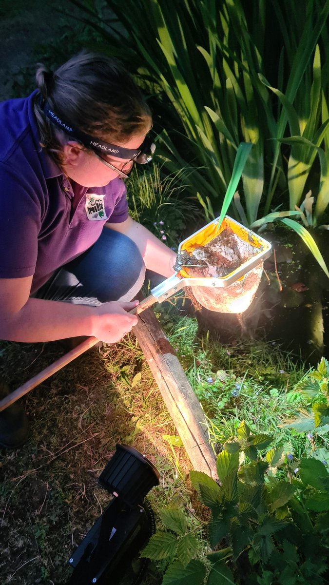 froglifers's tweet photo. Our Great Crested Newt Training Course on 24th May in #London has now opened!
Spend time with our experienced trainers and take the first step in getting your references for your #GCNLicense.
Book your spaces quickly, as these soon get taken up: https://t.co/JpUScoo8jj https://t.co/aKu0qdEKmh