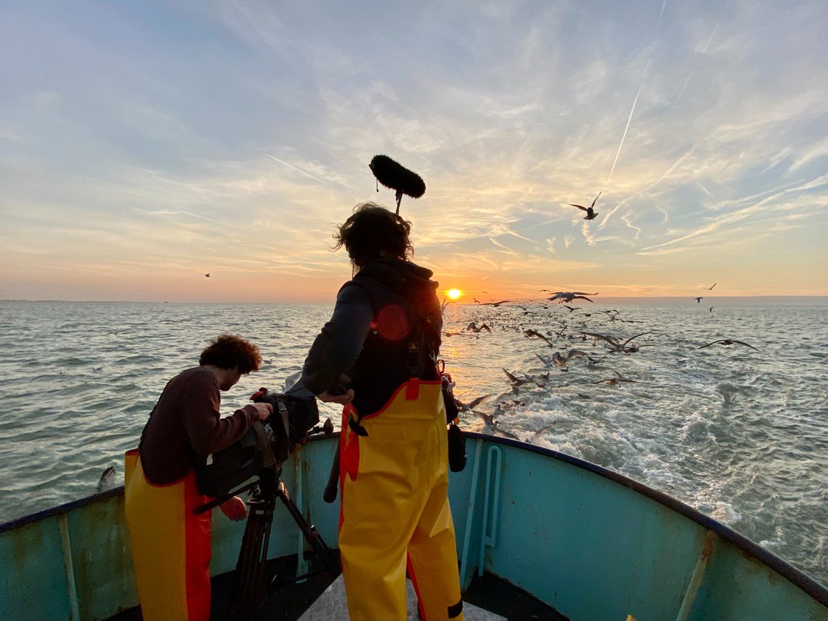 olliebollie1976's tweet photo. De roep van de zee.
Eén ding hebben alle vissers gemeen: hun onvoorwaardelijke liefde voor de zee en de vissersstiel. Straks, om 20u40 na Thuis op VRT1
@panenkatv @VRT1be @wimlybaert #eenjaaropzee #vrt #z53vaneyck #o62dini #z19brigitte #vishuisdepanger #z279ramblers #br73 #Z510 https://t.co/Yhki4XtQeK