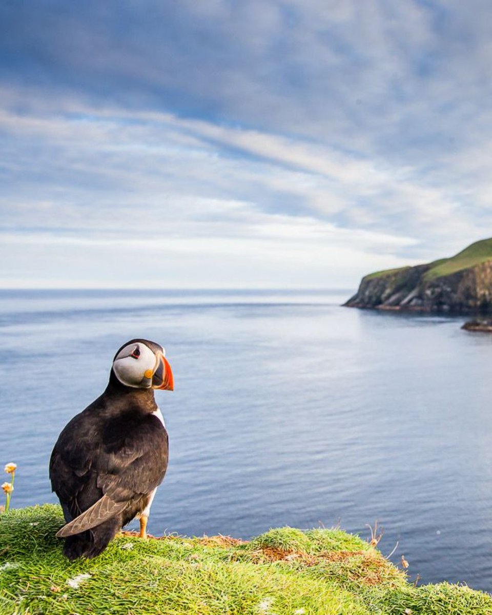 Did you know that Lambay Island may be barely three miles of the east coast of Ireland, but it retains an air of inaccessible mystery. When WB Yeats visited the island, he compared his experience to landing on a South Seas island for the first time. #islandlife #uncorktheunique