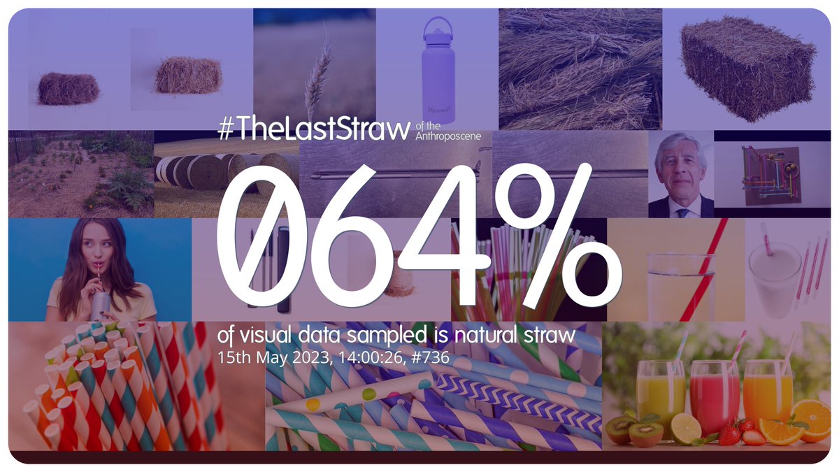 15th May 2023, 14:00:26, #736

64% of visual data sampled is natural straw.

#TheLastStraw #anthropocene #visualanalysis #countdown