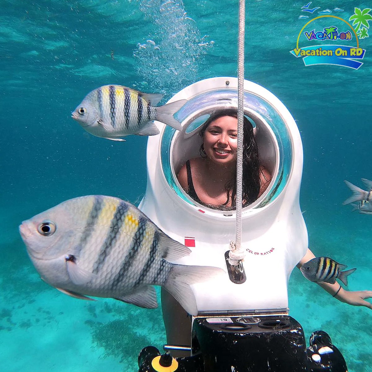vacationonrd's tweet photo. Traveling and changing places revitalizes the mind 🐠

#scubadoo #scubadiving #puntacana #caribbean #iloverd https://t.co/mA6uoJAhtO