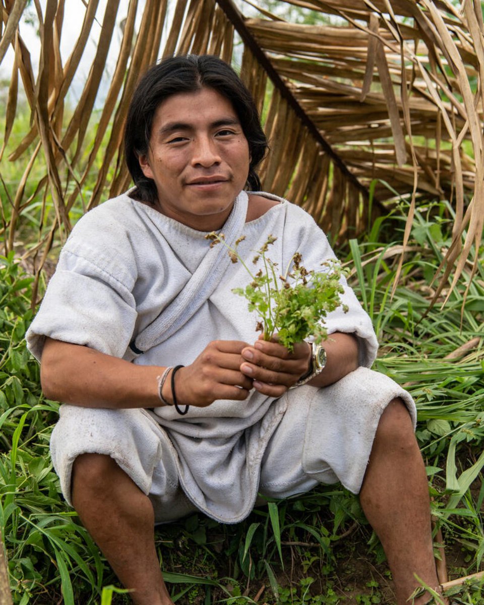 👨‍👨‍👧 It’s #InternationalDayofFamilies!

Today we’re highlighting support for families from Afro-Colombian communities in #Colombia where @WFP is supporting the recovery of ancestral products to build sustainable community livelihoods!

Click the link in our bio to donate.