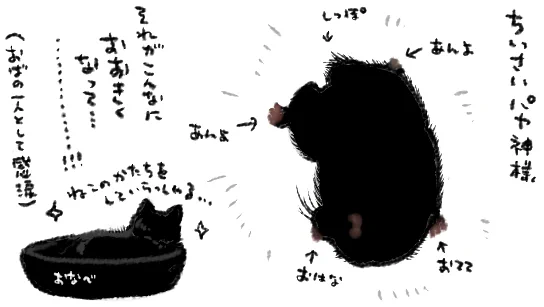 祝一ヶ月です!みなさまのすこやかハッピーを心よりお祈り申し上げます…!