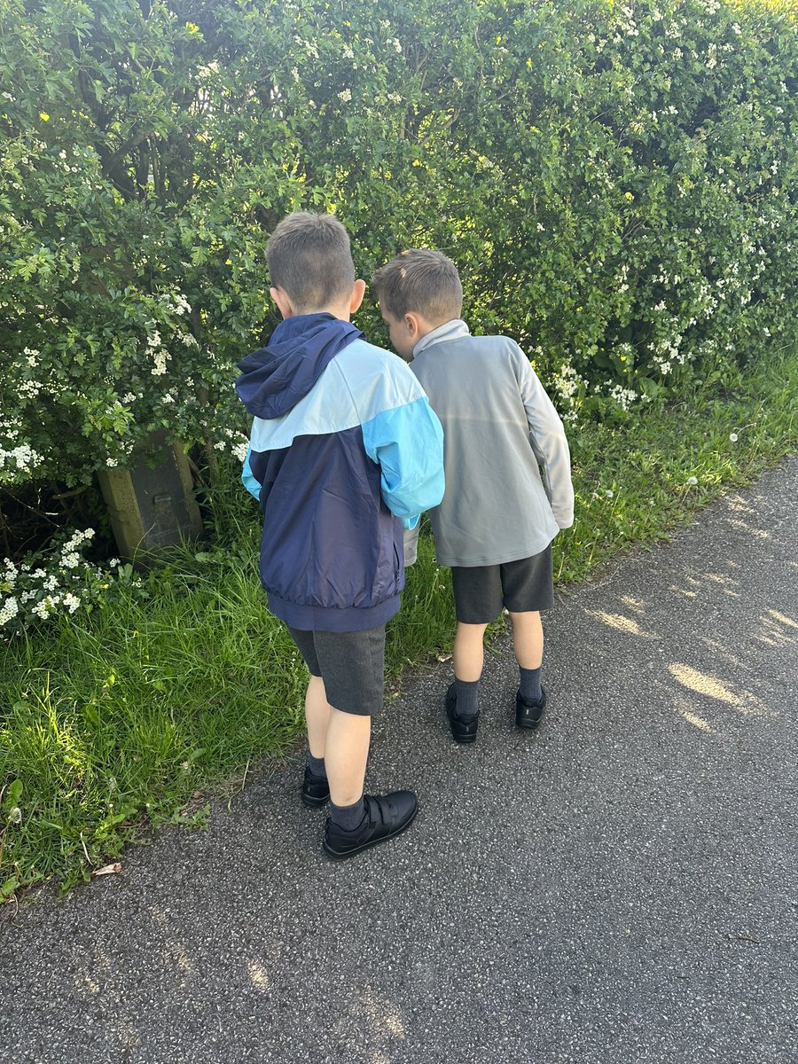 Donskeee's tweet photo. @MPSClass4 @MPSClass5 day 1 of walk to school week ✅ H &amp; R spotted ants🐜 a crow 🐦‍⬛flies 🪰 and a bumble bee 🐝☀️ https://t.co/APzSFAY1UZ