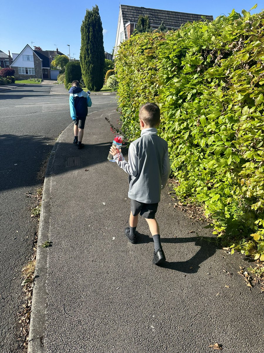 Donskeee's tweet photo. @MPSClass4 @MPSClass5 day 1 of walk to school week ✅ H &amp; R spotted ants🐜 a crow 🐦‍⬛flies 🪰 and a bumble bee 🐝☀️ https://t.co/APzSFAY1UZ