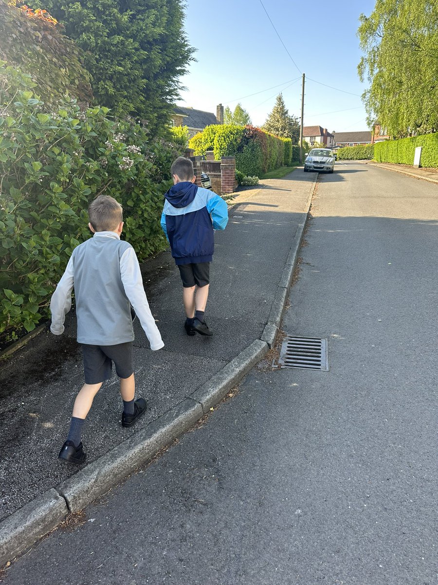 Donskeee's tweet photo. @MPSClass4 @MPSClass5 day 1 of walk to school week ✅ H &amp; R spotted ants🐜 a crow 🐦‍⬛flies 🪰 and a bumble bee 🐝☀️ https://t.co/APzSFAY1UZ