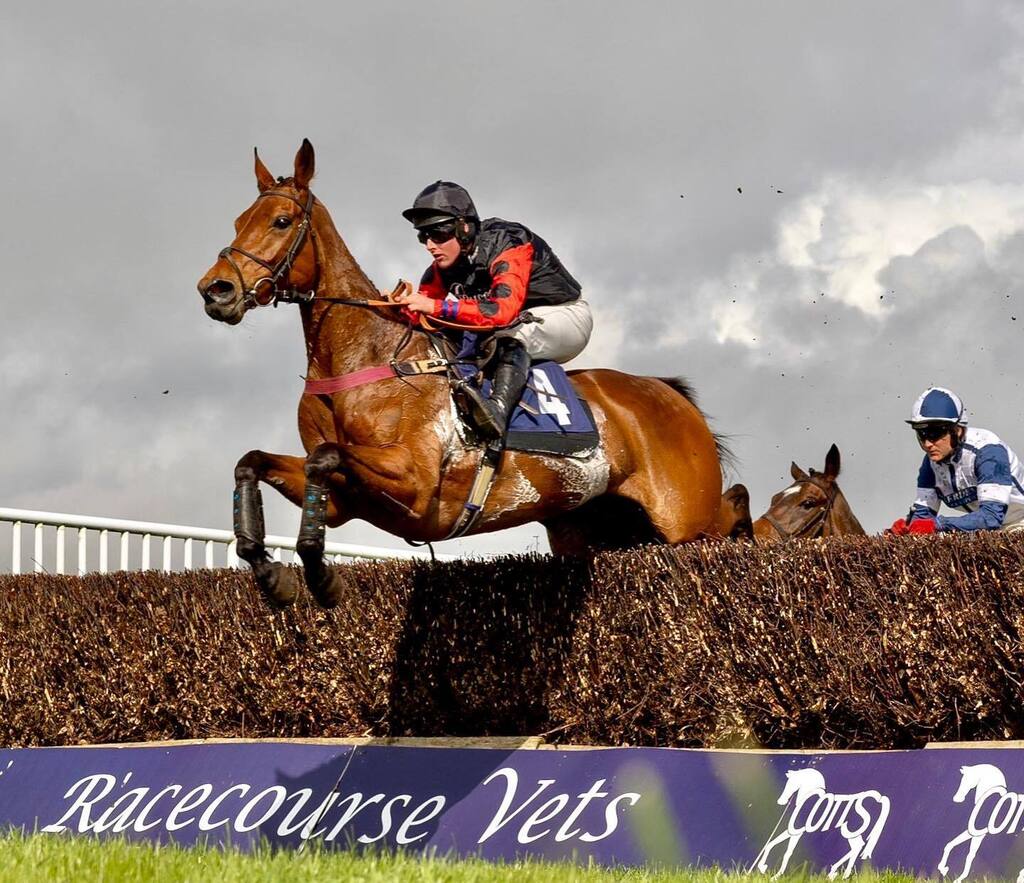 Great to get our first winner of the new season last week with STANLEY STANLEY making all over fences at Ffos Las. 🏇 instagr.am/p/CsQal5ioK62/