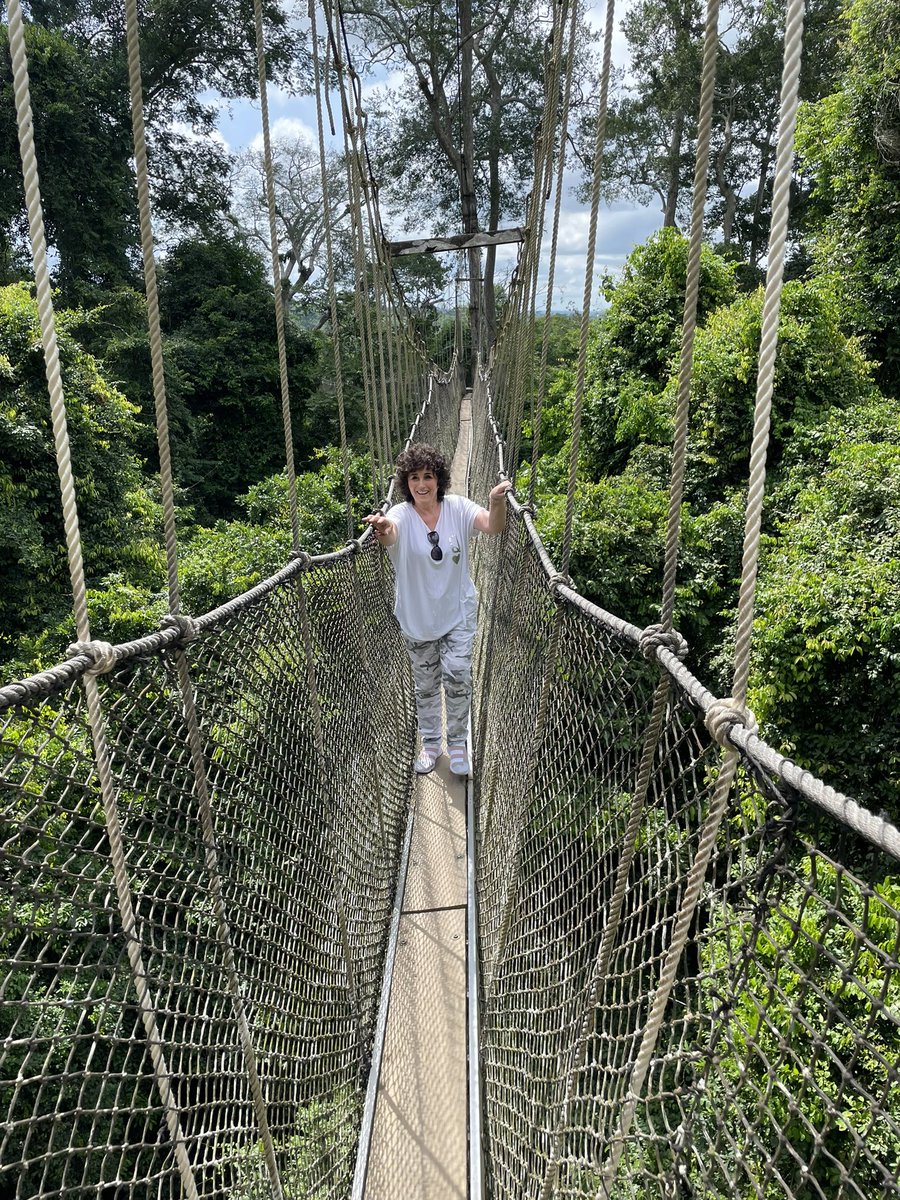 sandrahaleactor's tweet photo. Just back from a magical time in Ghana. A jewel of a country!
#canopywalkway #Ghana #willreturn #fantasticpeople https://t.co/rYcnhSr7GR