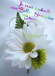 Best wishes