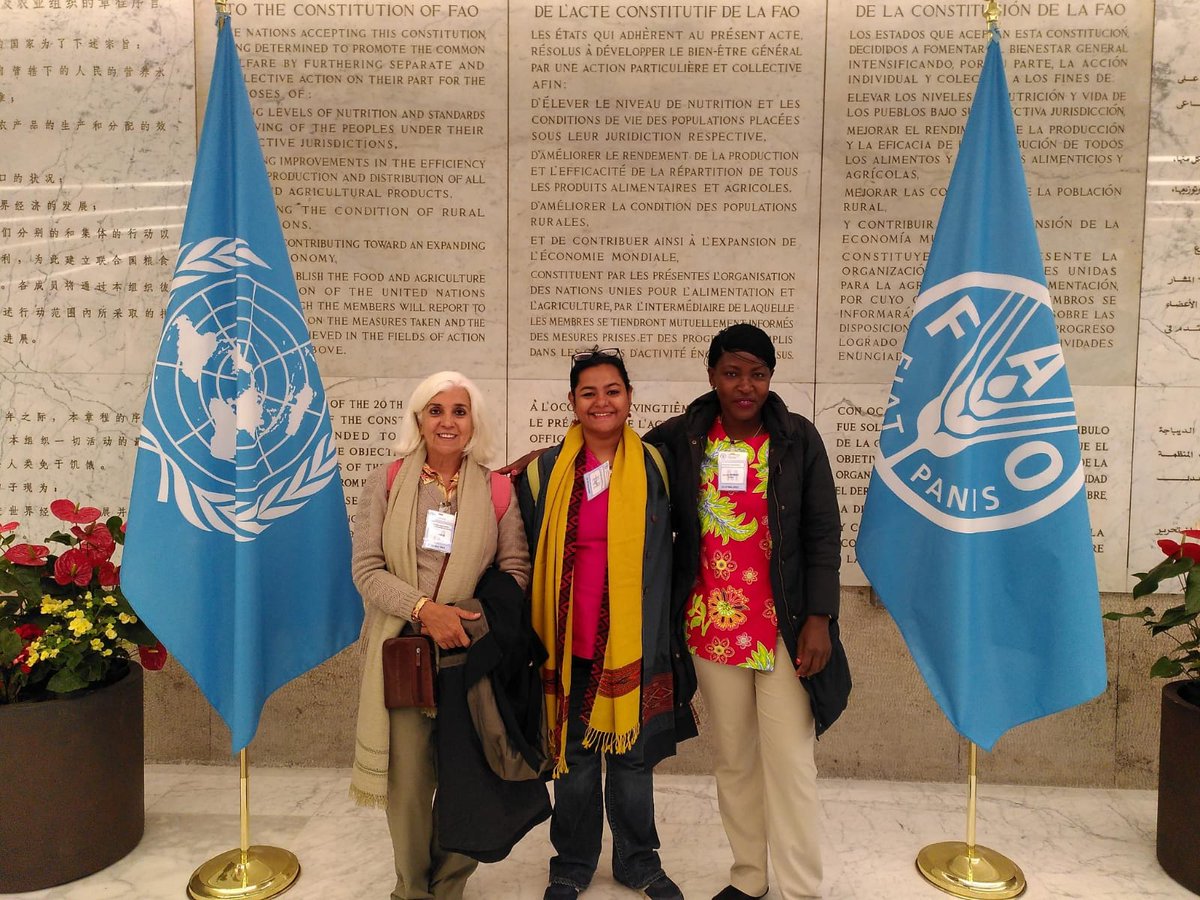 focussouth's tweet image. The last round of negotiations of the @UN_CFS on Gender Equality and Women’s and Girls’ Empowerment is starting today. The #CFSGender policy outcome must be grounded in the realities of communities to achieve #GenderEquality. 

#WeExist and we demand our rights!