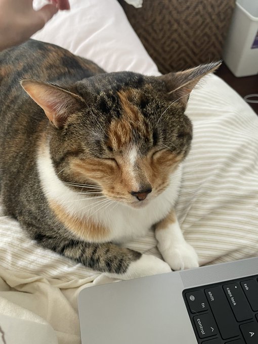 so so proud of everyone, taking the day to explore barcelona with my family and get some much needed<a href="/tag/newprofilepic"class="tags"><span>#newprofilepic</span></a>