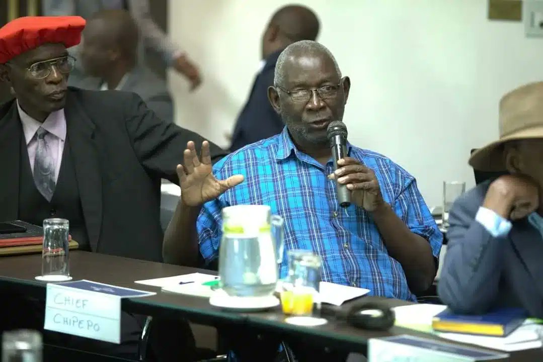 Hivos Global tweet media