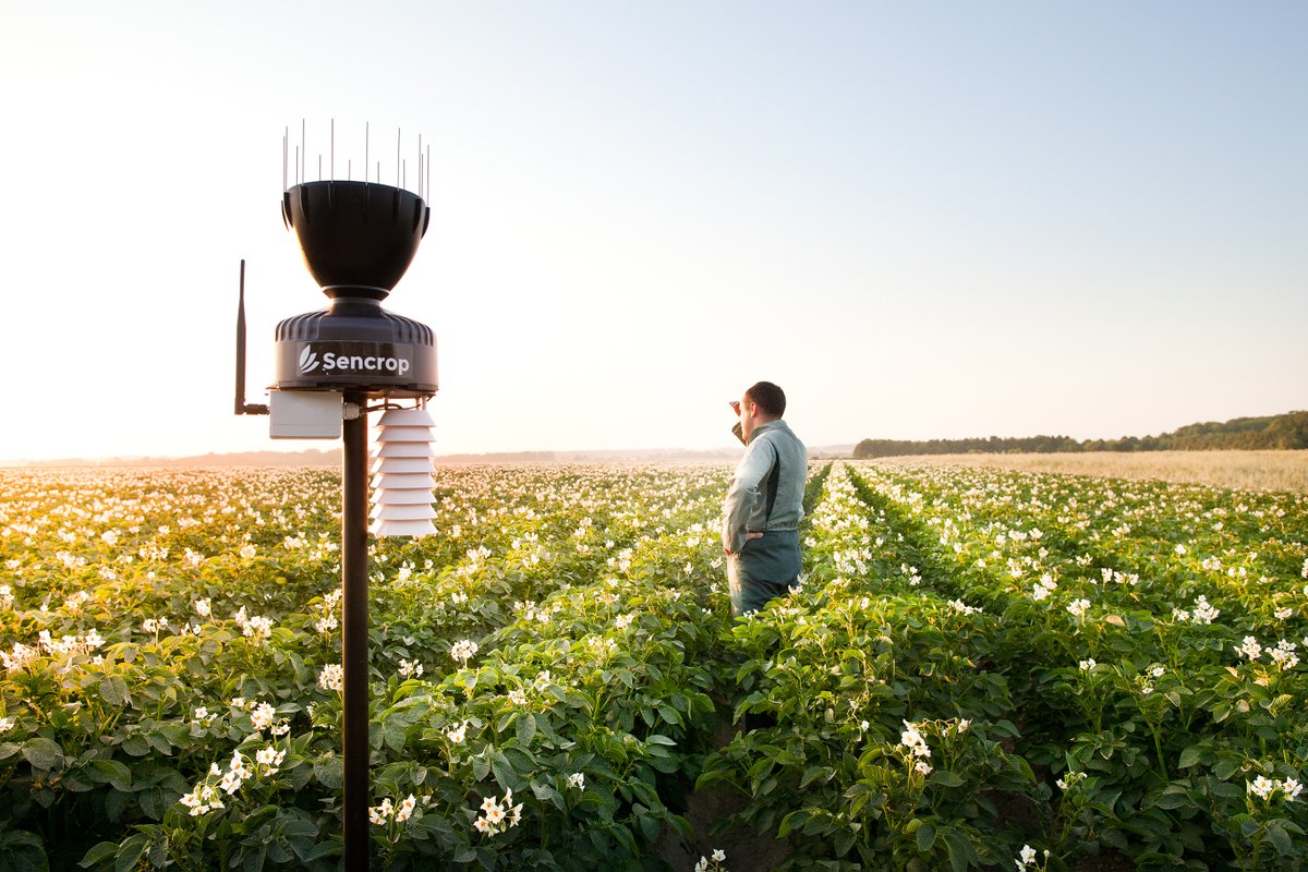 ici_bourgogne's tweet photo. Côte-d'Or : La chambre d'agriculture propose un accès aux stations météo Sencrop pour prévenir des intempéries https://t.co/DBTOVBgYLE https://t.co/suwbienQMa