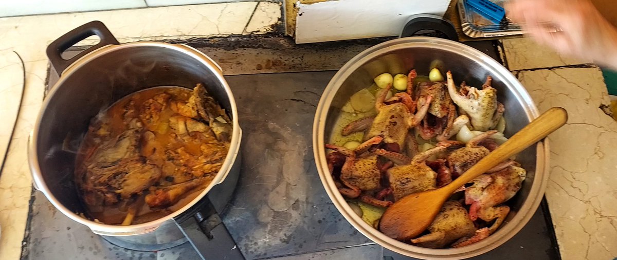 Esance's tweet photo. @cocinaabiertatv Pichones de tierra de campos ...y pollito de corral cocinado en la bilbaina de la abuela ina .. https://t.co/78x1HPHsWP