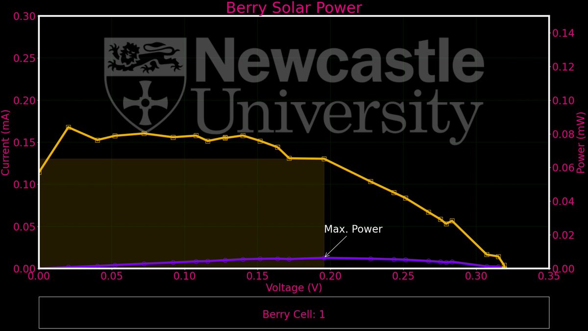 Berry Solar Cells for Berry Future tweet media