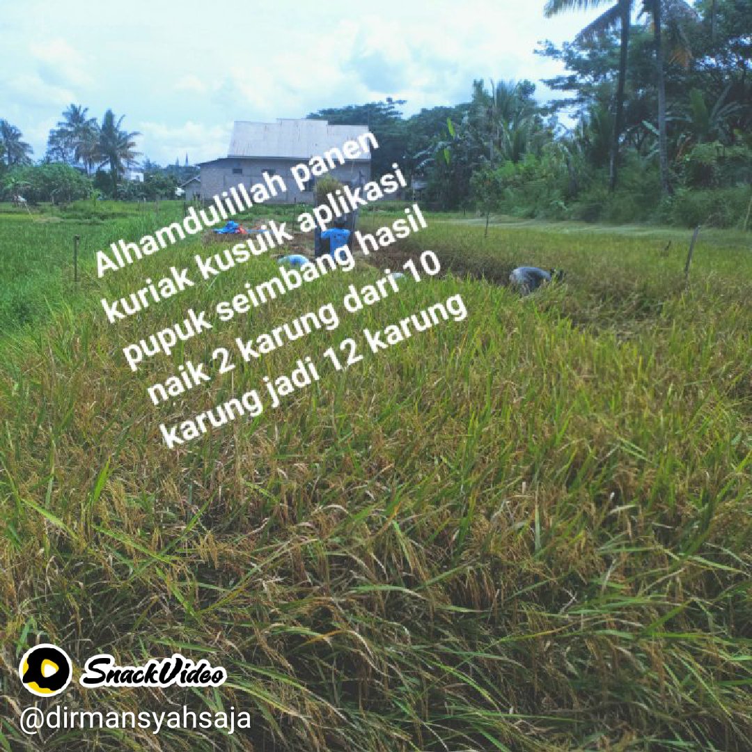 DirmanSukses's tweet photo. Wow, di sini ada video yang sangat menarik!
https://t.co/FrmezQNtB0 https://t.co/T8ouZg96ac