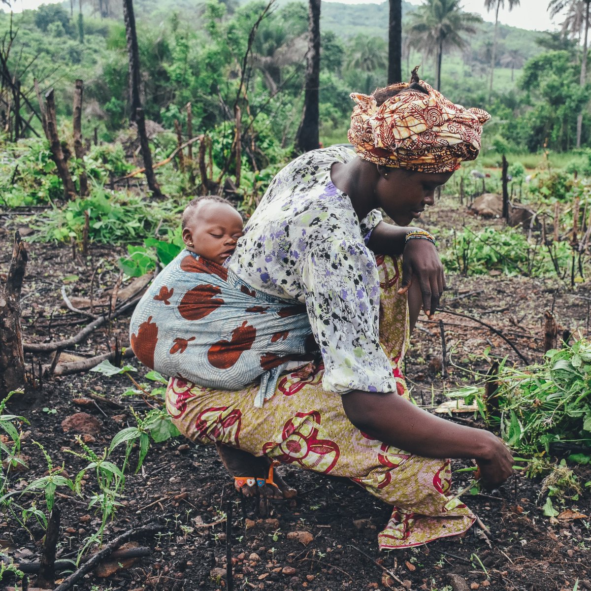 FIAN International tweet media