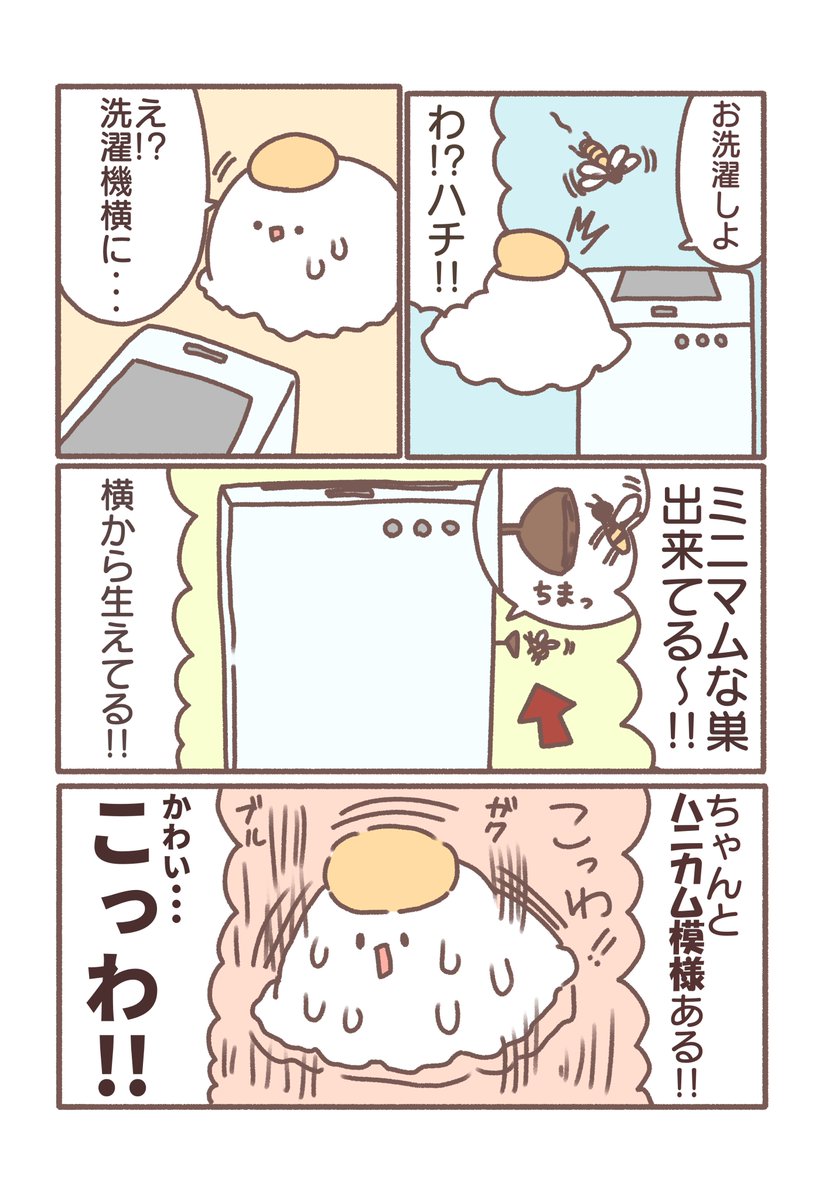 本日のできごと