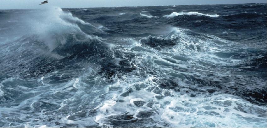 SLSA's tweet photo. This month's #RoyalGeographicalSocietyofSouthAustralia lecture is on Defining and delimiting the Southern Ocean.
https://t.co/p0RXguQW7q
#RGSSA #LectureProgram #libraries #slsa #StateLibrarySA https://t.co/44XeWxmlLr