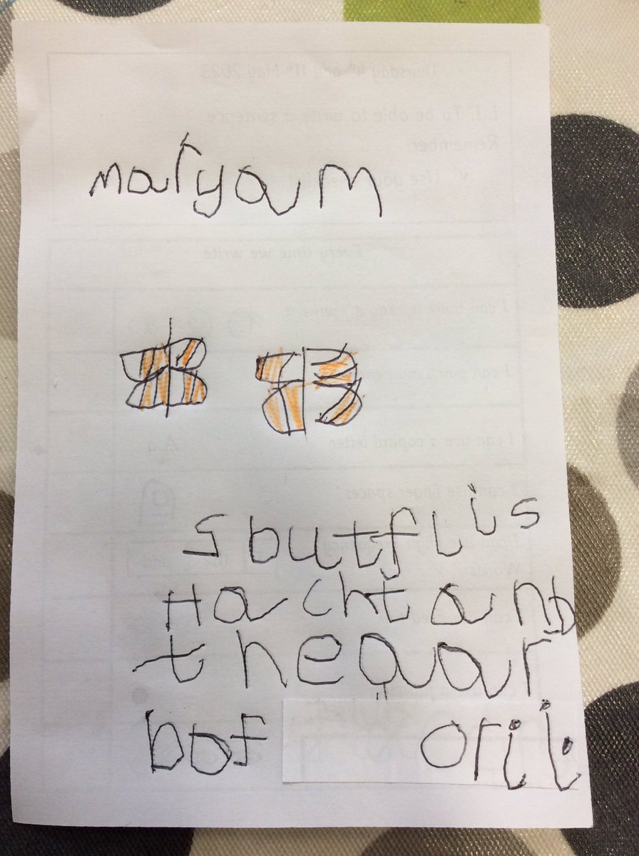 “2 butterflies hatched and they are both orange.”