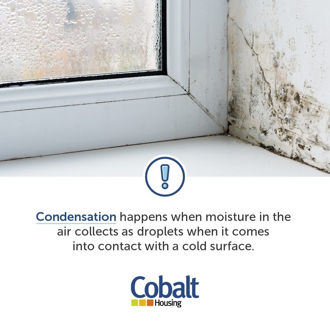 We take condensation, damp and mould in our homes extremely seriously.

If you have any concerns about damp, mould or condensation in your property is to report it to us immediately via homerepairs@cobalthousing.org.uk or via our online form: buff.ly/3NXZB0M