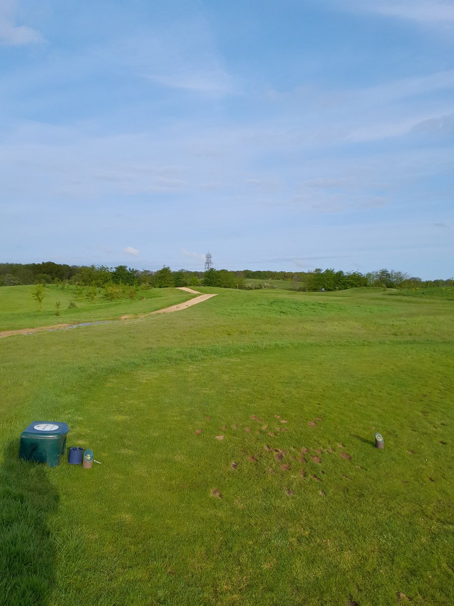 CaddingtonGolfC's tweet image. Giving the Academy course tees some mcloving this morning.

#divoting #caddingtongolfcourse 
#golf