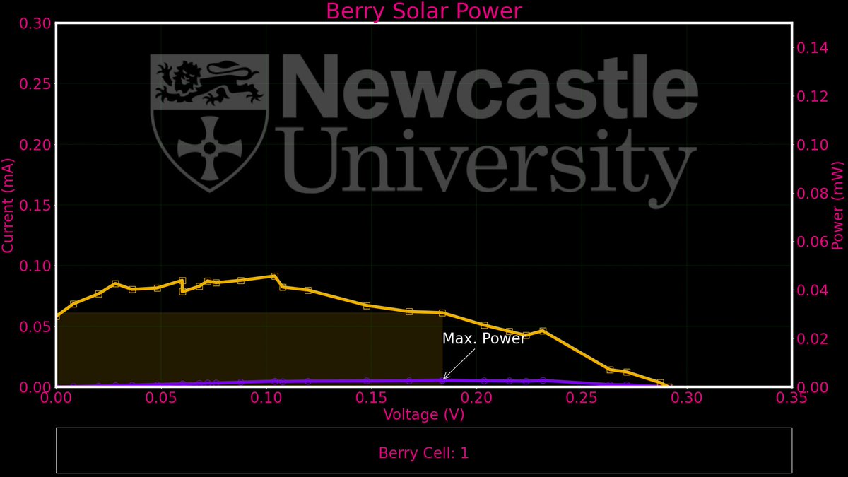 Berry Solar Cells for Berry Future tweet media
