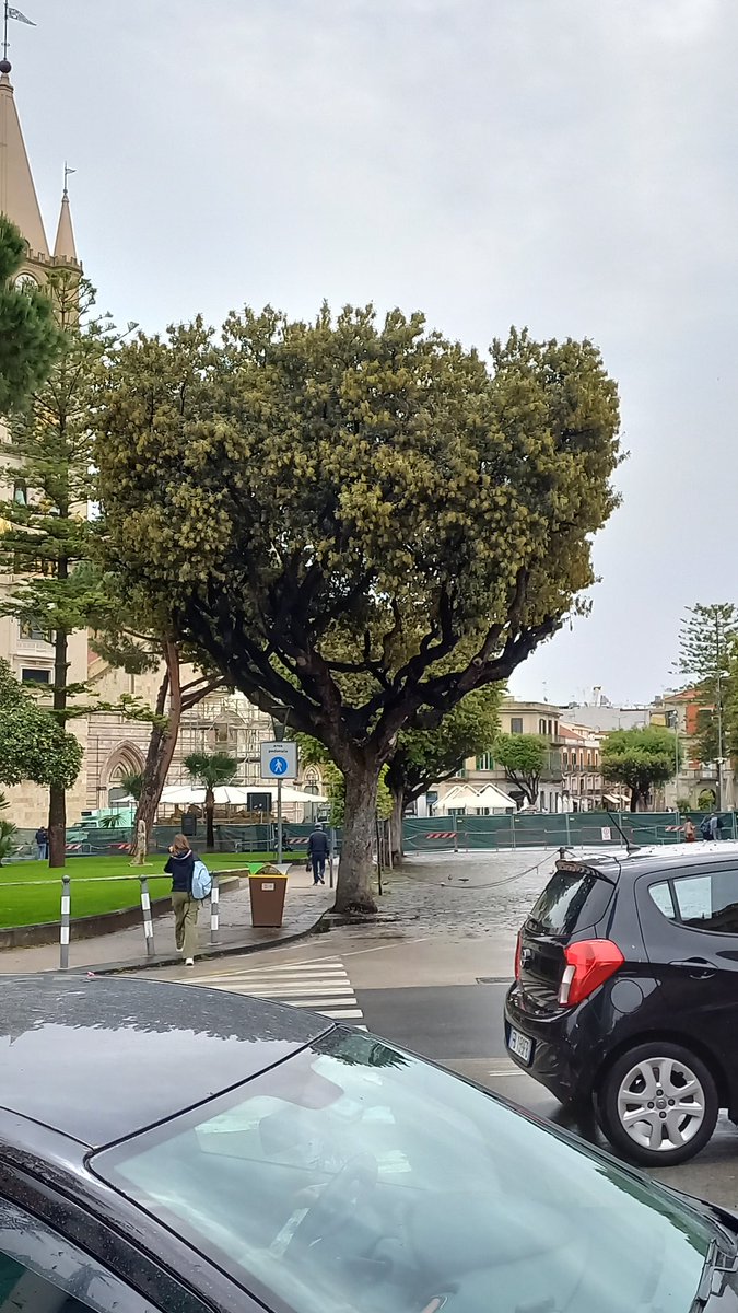 maxcucinotta78's tweet photo. Altro che #MasterChef piazza Duomo #blindata #messina https://t.co/WCbUcgiCQq