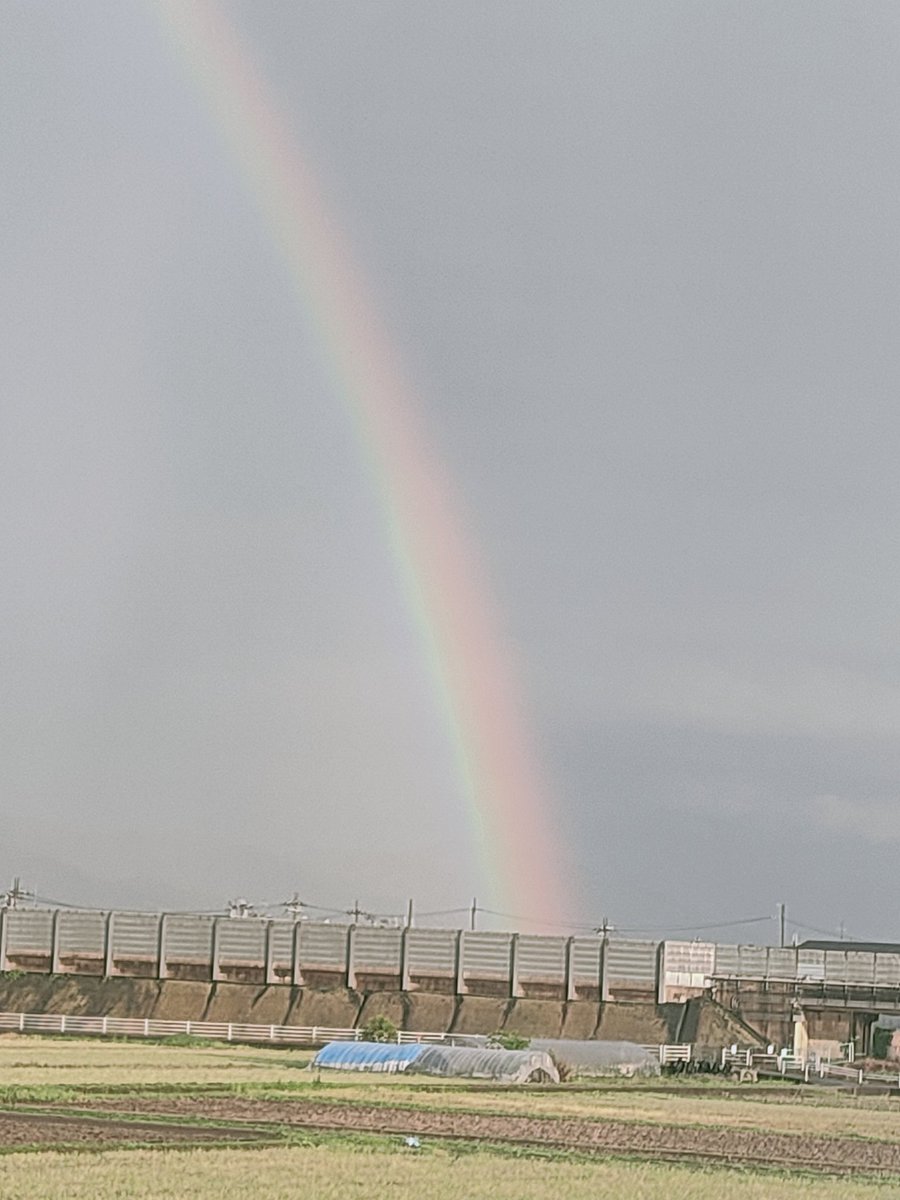 misora24's tweet photo. 激しい雨の��、虹🌈が綺麗に出ています😊

#奈良空
#虹
#イマソラ https://t.co/Cm1e0R5hOu