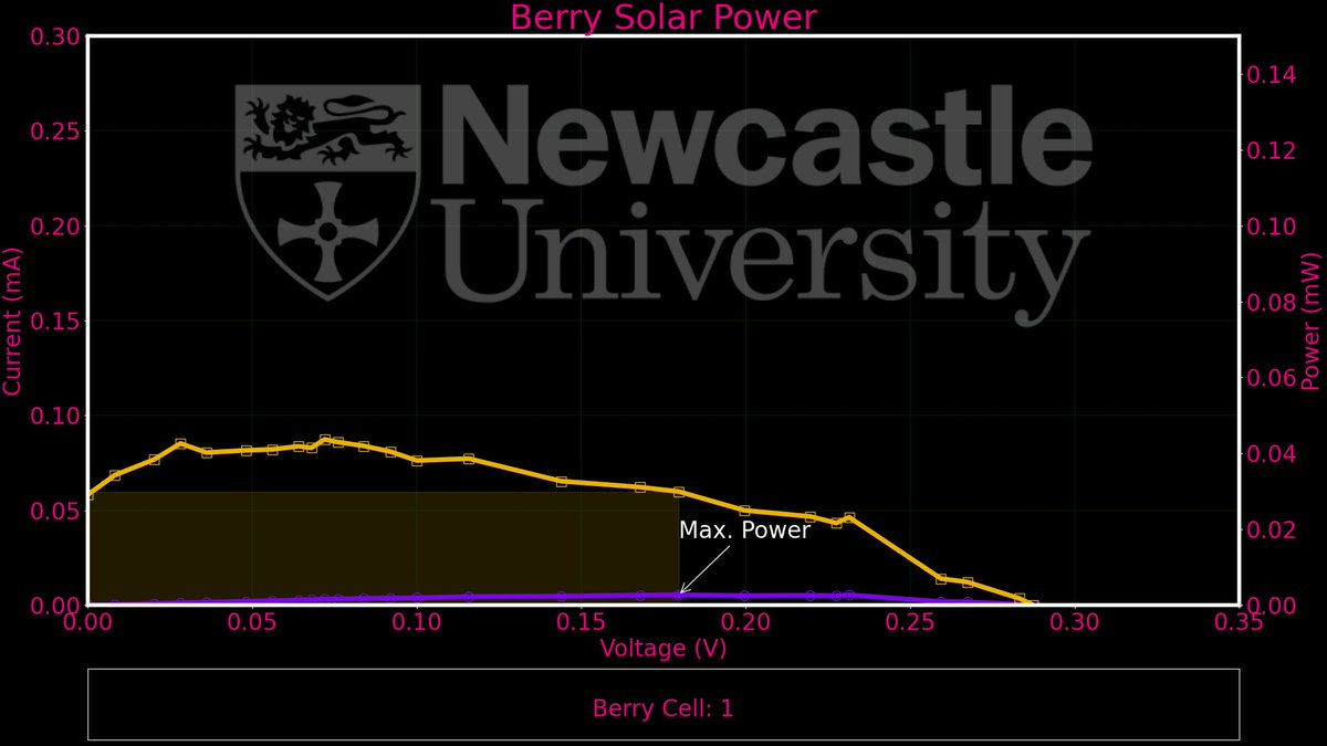 Berry Solar Cells for Berry Future tweet media