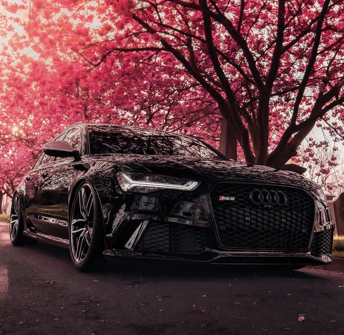 Audi RS6 🌹