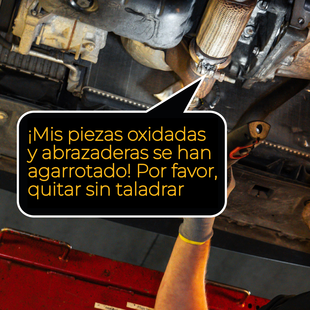 GML Alto Rendimiento tweet media