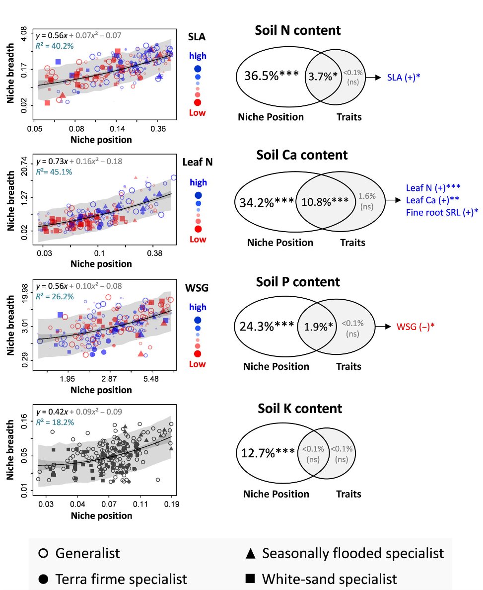 davbauman's tweet photo. This trend was found for the 5 edaphic gradients tested (N, P, Ca, Mg, K). 
➡️ The study also shows that species with resource conservation traits (🌿and #roots) were more restricted to poor soils, and likely outperformed by acquisitive sp. in more fertile habitats.
🧵 [2/3] https://t.co/YpxdRd5iA0