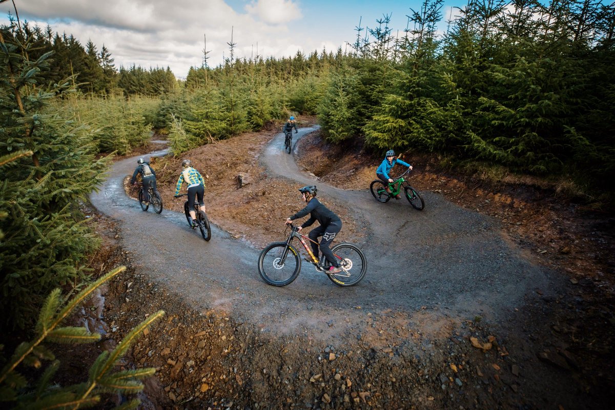 oliotrails's tweet photo. Wanna do some #biking, visit our site!  (https://t.co/c3AhGN7G4e) https://t.co/hHQYa0LZ9K
