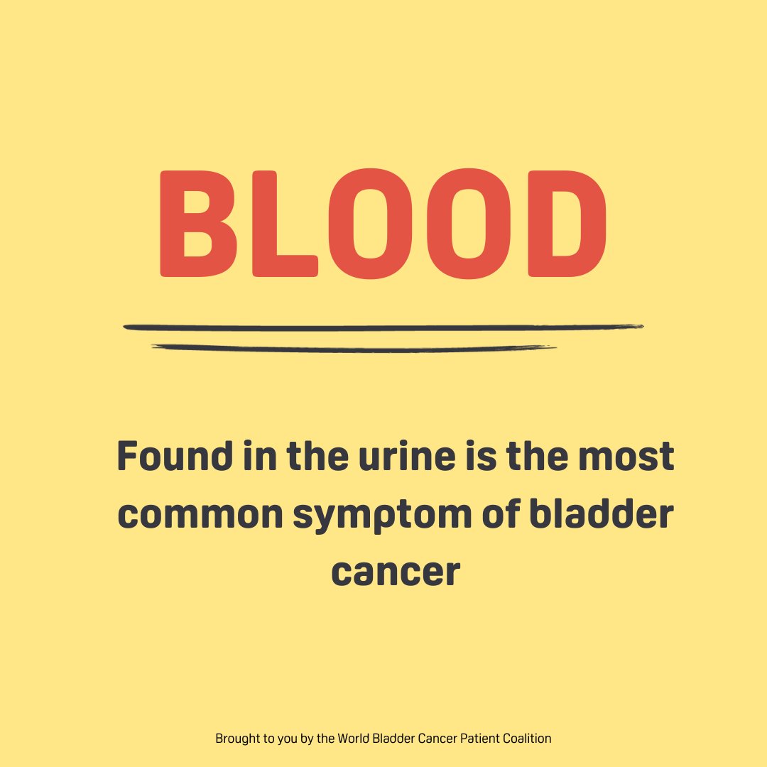 Actionbladderca's tweet photo. Blood in your urine is called haematuria, &amp; is the most common symptom of bladder cancer. It can happen suddenly &amp; may come and go.

If you see blood in your urine, it is important to get it checked by your GP as soon as possible.

#BladderCancer #BladderCancerMonth23 https://t.co/dC73SBf65a