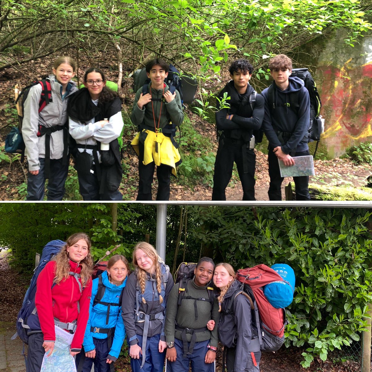 Erin Orens tweet media