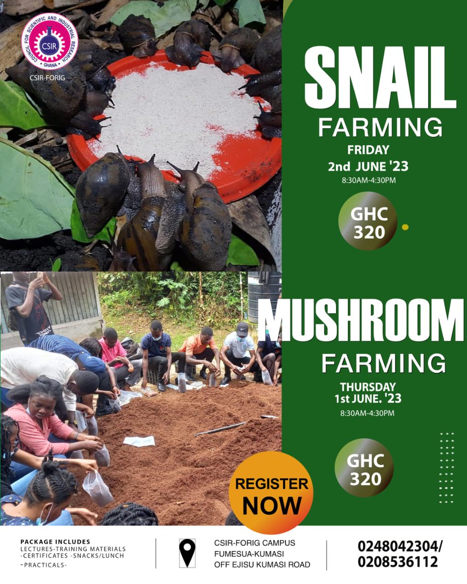 csirforig tweet media