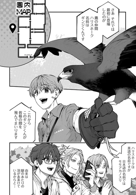 鳥ジャンキーズ - 空廼カイリ / 第37話 | MAGCOMI https://magcomi.com/episode/4856001361133971731  引き続き掛川花鳥園編! 猛禽ほんとフワフワでかっこいいしで最高 まだまだ続きます!