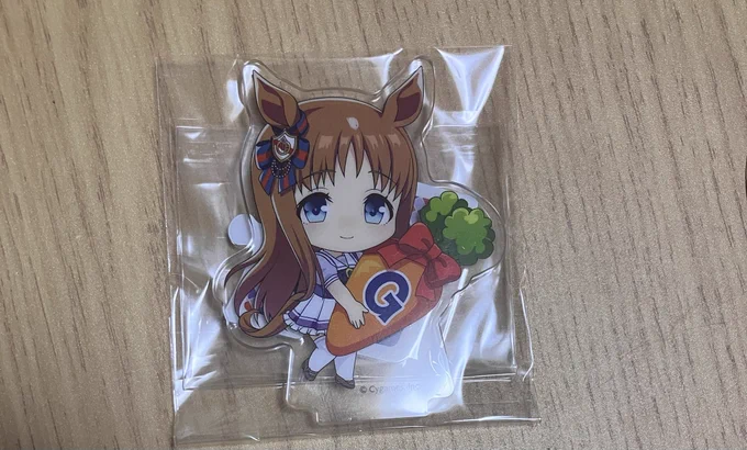 きちゃーー!かわいいーー!!