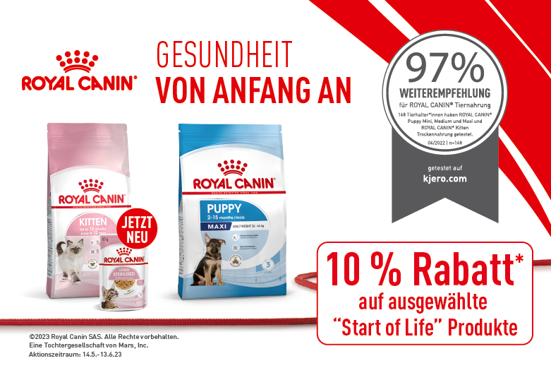 RT <a href="/docgoy/">Dr. Reinhard Goy</a>  Zum "Start of Life" für Kätzchen und Welpen, Kitten und Puppies: hund-katze-heimtier-kleintier.de/10-auf-royal-c… 🐕🐈‍⬛