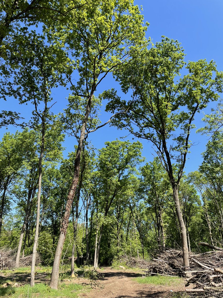 Time for some deep thinking