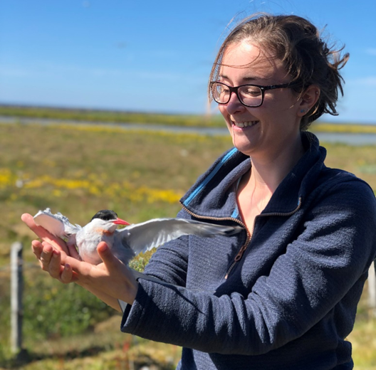 AskjaFriday's tweet photo. Excited to announce our next speaker, Joanne Morten (@joanne_morten) from @UniofExeter, will present her work on the tracking efforts of Icelandic Arctic Terns🪶. See you all on Friday at 12:30 in Askja N128! 🖥️ Zoom: https://t.co/oHHcv1KGnn https://t.co/nuPYqwxEr2