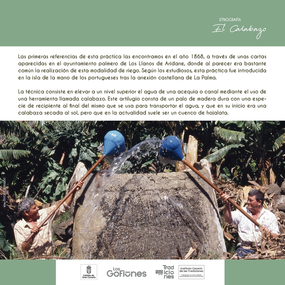 insctradiciones's tweet photo. Hoy te queremos hablar de una actividad agrícola vinculada con el riego de los cultivos, que tuvo que reconvertirse en juego para evitar su desaparición. Hablamos del Calabazo.
#ictradiciones #calabazo #oficiosperdidos #juegostradicionales @LosGofiones  @GranCanariaCab https://t.co/gINzQUJgWU