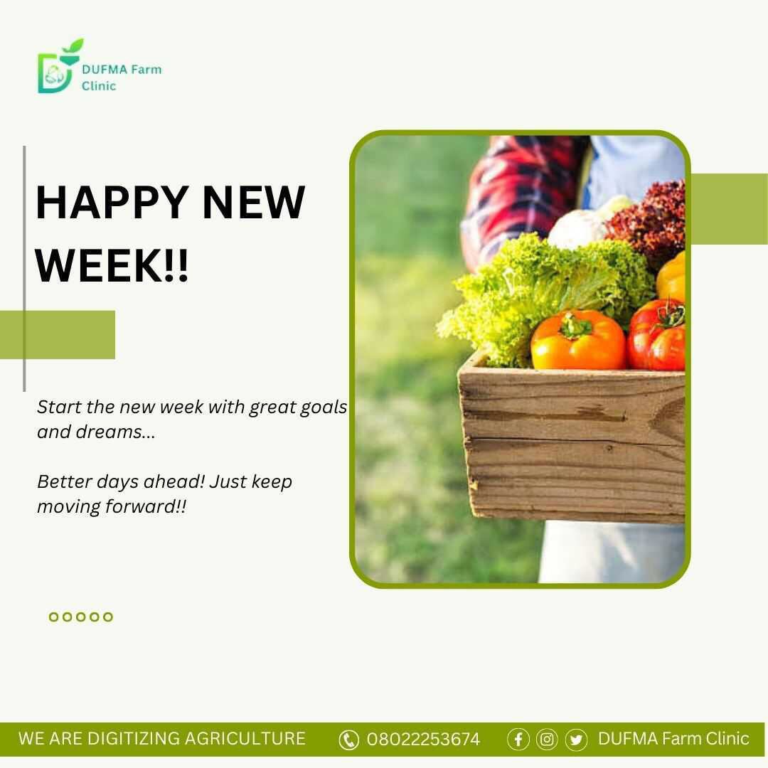 DufmaFc's tweet photo. We hope you have a great week ahead✨

with love from DUFMA ❤️🌱
#dufmang #Monday #96hrs #Trending https://t.co/UgmHSAyr3y