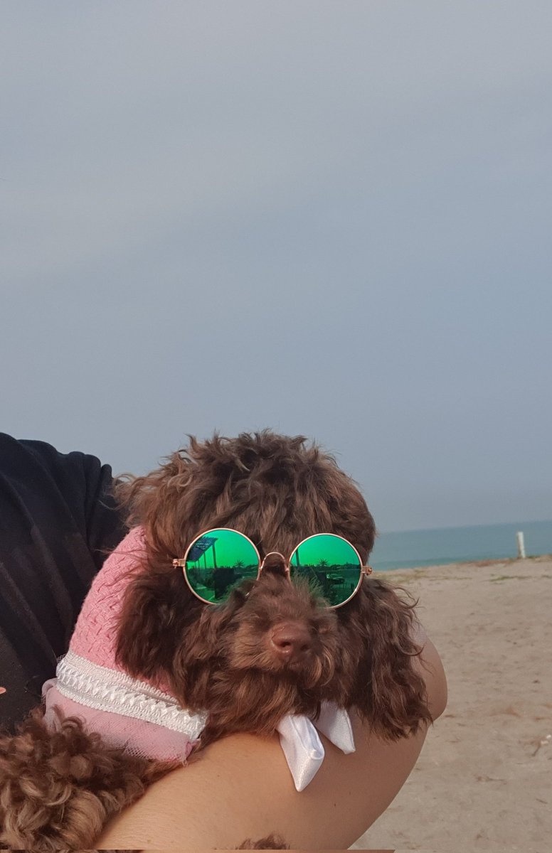 ManabatQuelly's tweet photo. Moshie🥰 https://t.co/s1j4zxCa5x