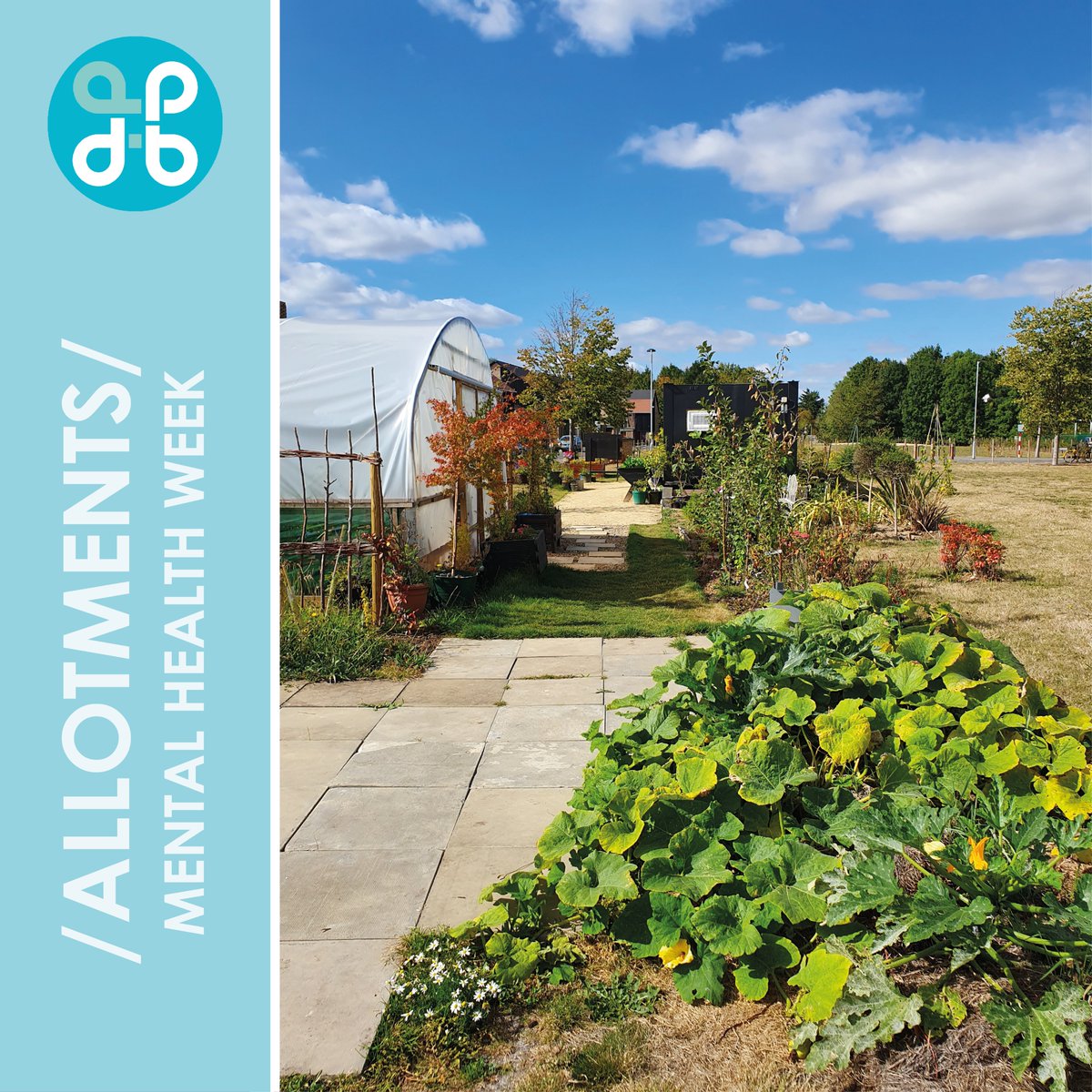 📢 KICKSTARTER MONDAYS 🌱

This Mental Health Week, let's highlight allotments' advantages for well-being and the environment. PBD advocates flexible allotment sizes at the planning policy level. City allotments can be as productive as farms! Join us for a healthier future.
