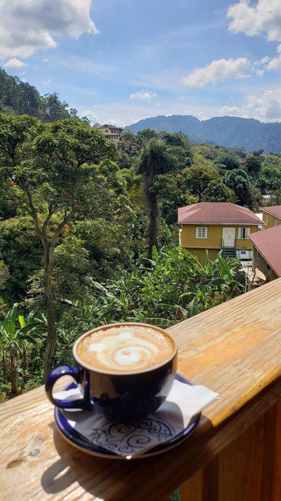 homebrewcoffees's tweet photo. Harika https://t.co/i0iXxoxqgZ